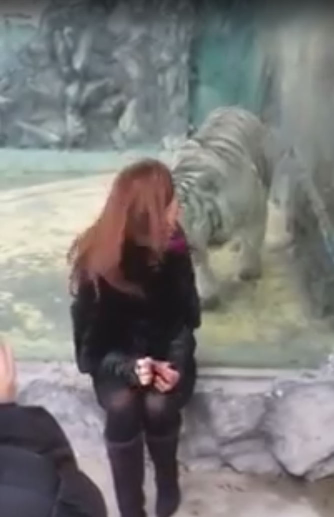 유튜브 영상 캡처