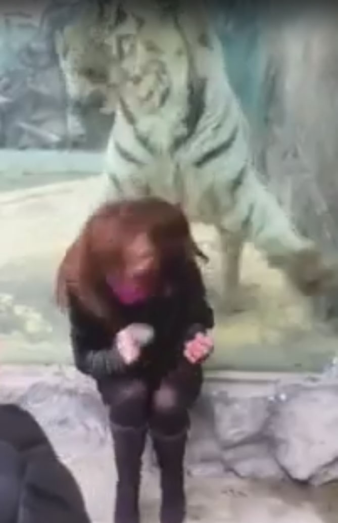 유튜브 영상 캡처