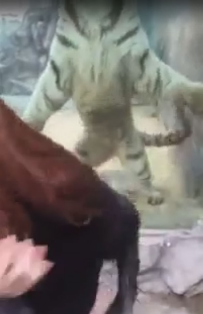 유튜브 영상 캡처