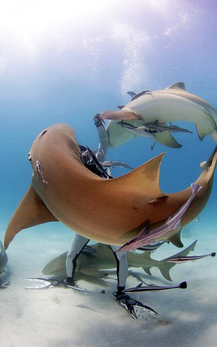 사진=Troy Iloski/SWNS