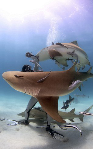 사진=Troy Iloski/SWNS