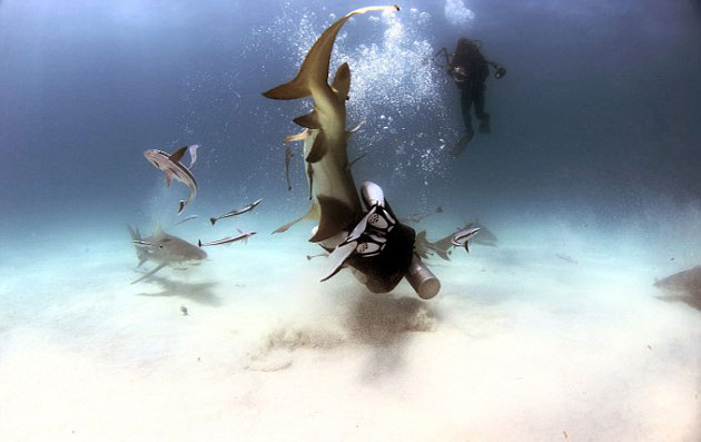 사진=Troy Iloski/SWNS