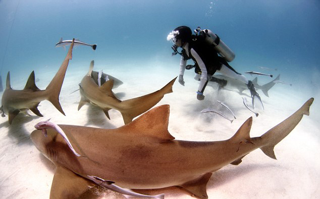 사진=Troy Iloski/SWNS