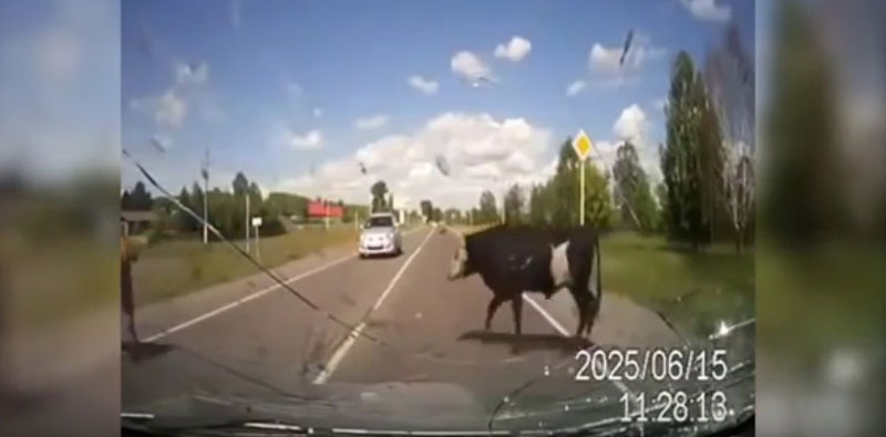 유튜브 영상 캡처, HotViralNews