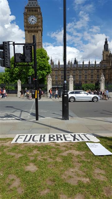 25일(현지시간) 영국 런던 국회의사당 건물 건너편 의회광장 잔디밭에는 브렉시트 국민투표 결과에 승복할 수 없다는 듯 ‘망할 브렉시트’라고 적혀 있는 플래카드가 놓여 있다.