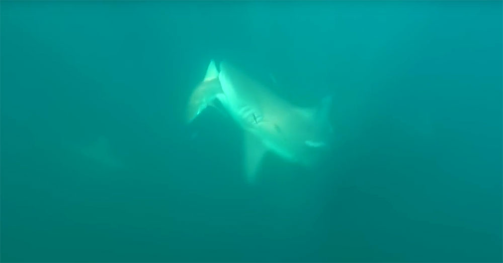 유튜브 영상 캡처