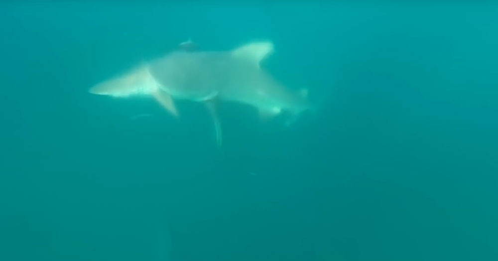 유튜브 영상 캡처