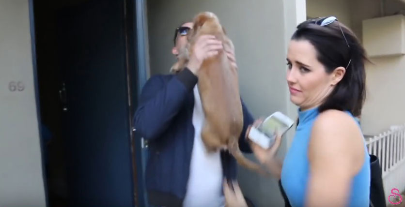 유튜브 영상 캡처, SketchShe