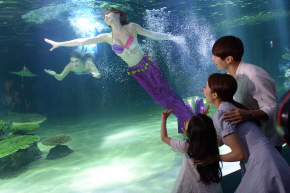 한화호텔앤드리조트가 30일 오전 서울 영등포구 여의도 한화 아쿠아플라넷63에서 리뉴얼 오픈 기념행사로  수중공연을 펼치고 있다. 최해국 선임기자 seaworld@seoul.co.kr