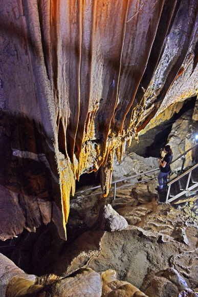 ‘동굴 생성물의 보고’라 불리는 대금굴 내부 모습. 삼겹살 닮은 베이컨 시트, 동굴방패 등 다양한 형태의 동굴 생성물들과 만날 수 있다. 동굴 내부는 한여름에도 서늘해 노약자들은 얇은 겉옷을 입는 게 좋다.