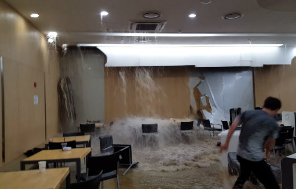 갑작스러운 폭우가 내린 1일 서울 서대문구 연세대 중앙도서관 지하층의 컴퓨터실 한쪽 벽 천장이 무너지면서 물이 폭포수처럼 쏟아지고 있다. 학교 측은 배수구 용량 초과로 물이 유입된 자연재해라고 밝혔다. 연세춘추 제공
