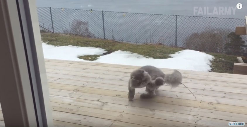 유튜브 영상 캡처, FailArmy