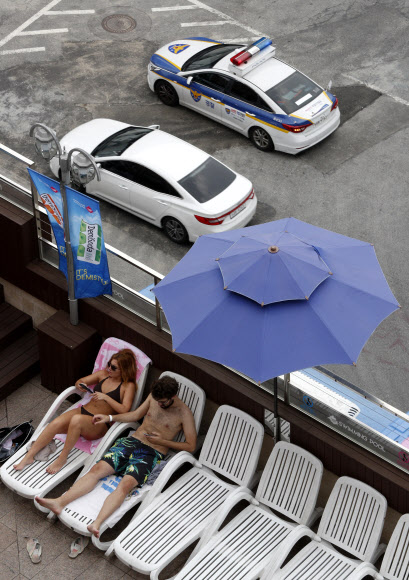 그들의 폭염 대처법