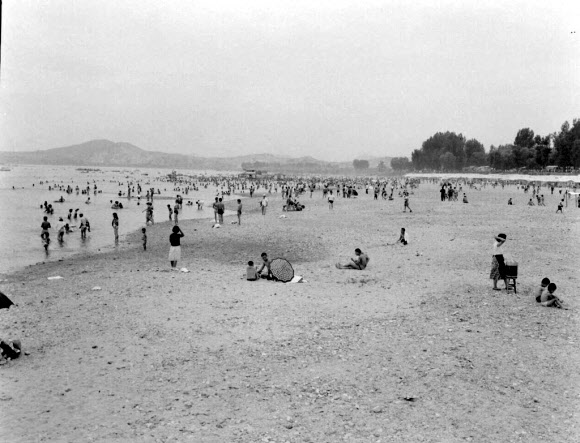 1962년 뚝섬유원지의 여름풍경