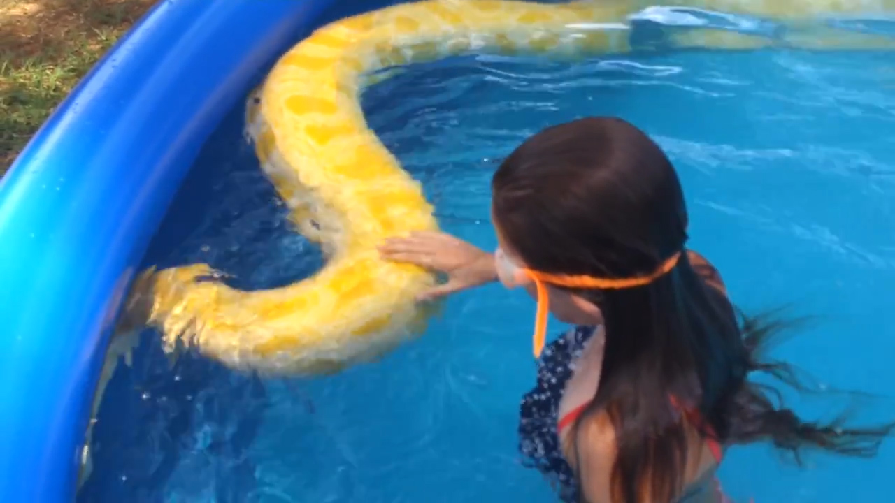 사진=유튜브 영상 캡처