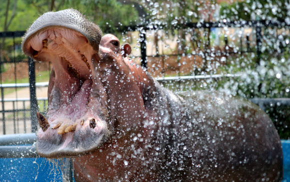 ’아 시원하다’