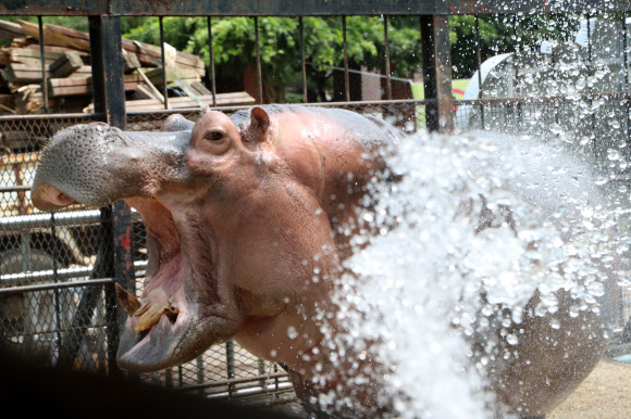 ’아 시원하다’