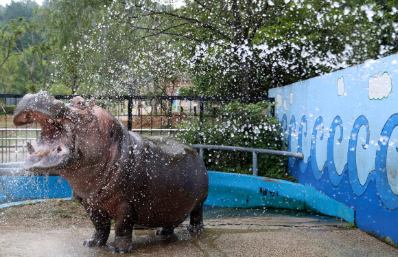 ’아 시원하다’