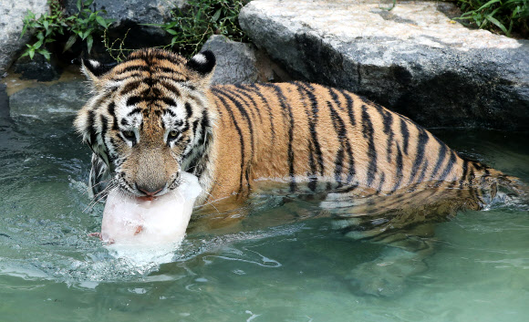 여기가 천국일세