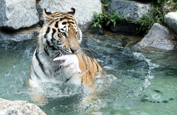 여기가 천국일세