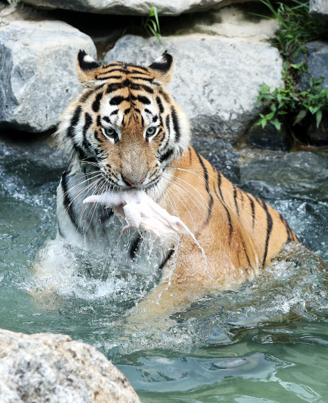 여기가 천국일세