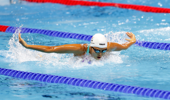 안세현 선수가 6일 오후(현지시간) 브라질 리우데자네이루 바하 올림픽 수영장에서 열린 여자 100미터 접영 세미파이널에 출전해 힘차게 역영하고 있다.  리우데자네이루=올림픽사진공동취재단