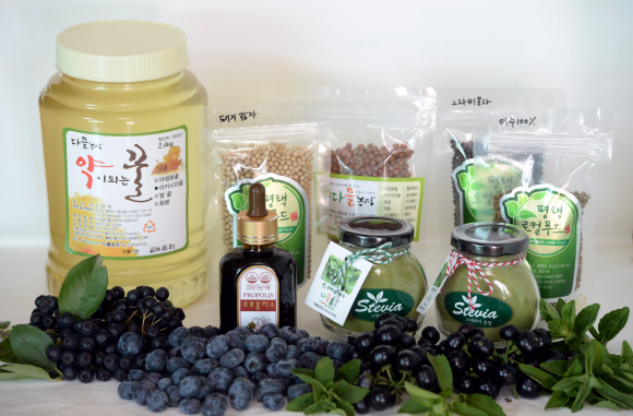 다믈농장에서 수확한 꿀과 가공식품, 생과실. 강성남 선임기자 snk@seoul.co.kr