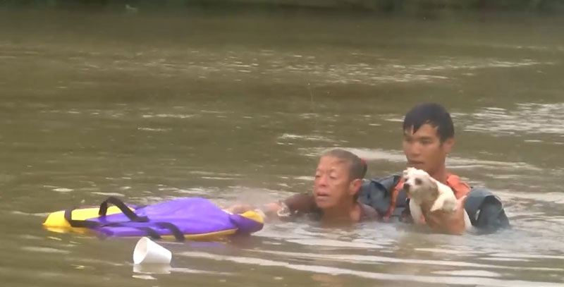 유튜브 영상 캡처, Josh Meeks
