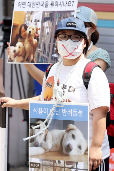 개 식용 반대 침묵시위