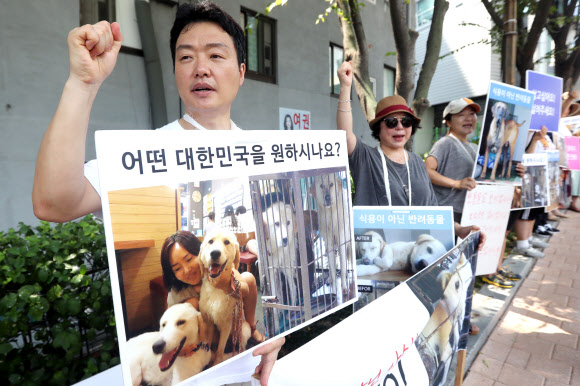 개 식용 반대 캠페인