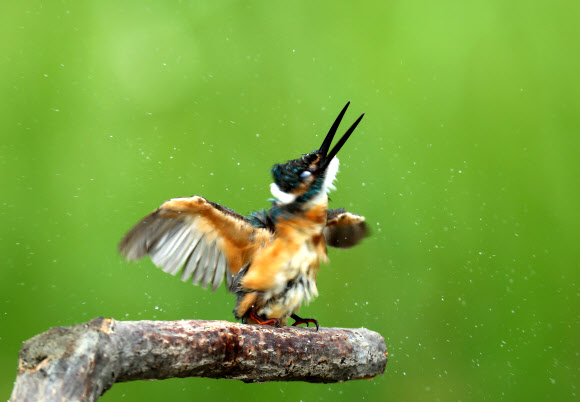 ”아∼ 시원해”