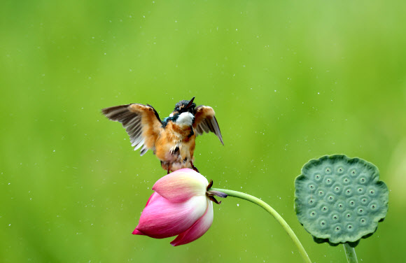 ”아∼ 시원해”