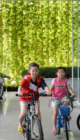 노원 아이들은 폭염에도 뛰어노네… ‘녹색 커튼’ 마법  늦더위가 기승을 부리고 있는 가운데 서울 노원구의 ‘녹색식물 커튼 사업’이 미관과 효용성이라는 두 마리 토끼를 다 잡고 있다. 녹색 식물 커튼이 처진 노원정보도서관 앞에서 아이들이 자전거를 타고 있다.<br>이언탁 기자 utl@seoul.co.kr