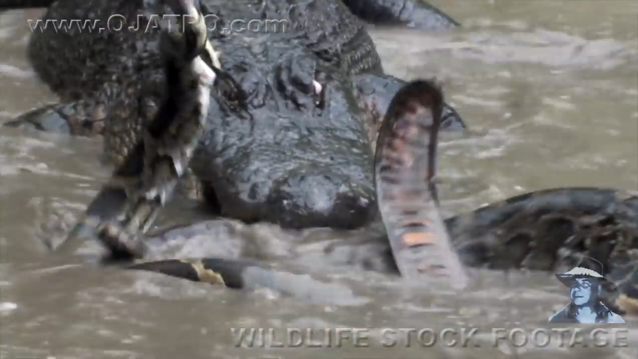 유튜브 영상 캡처