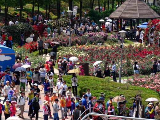 지난 5월‘제6회 곡성세계장미축제’를 찾은 관람객들이 장미의 아름다움을 만끽하고 있다. 곡성 연합뉴스