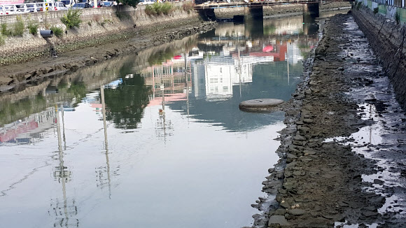 오염된 여수 연등천
