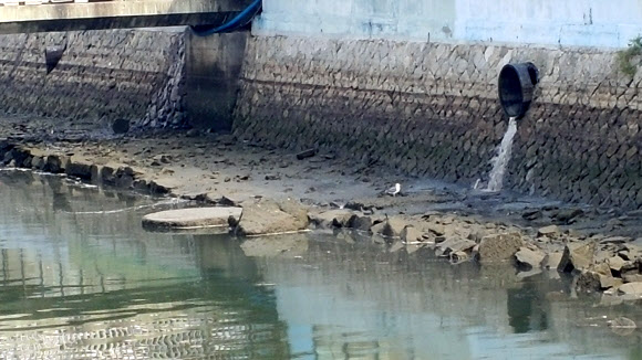 오염된 여수 연등천