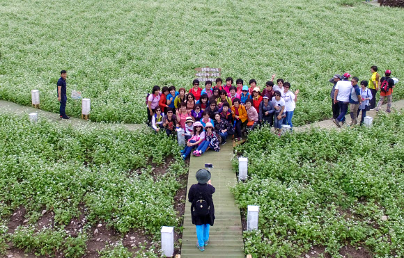 메밀꽃밭에서 남기는 추억