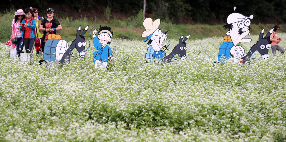 메밀꽃 필 무렵