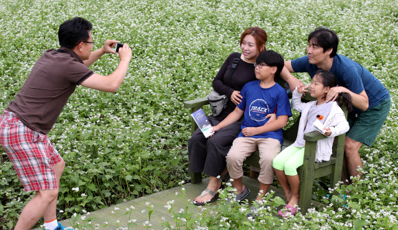 메밀꽃밭에서 찰칵