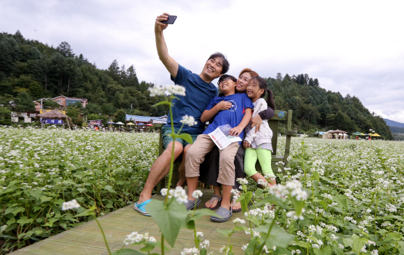 메밀꽃밭에서 찰칵