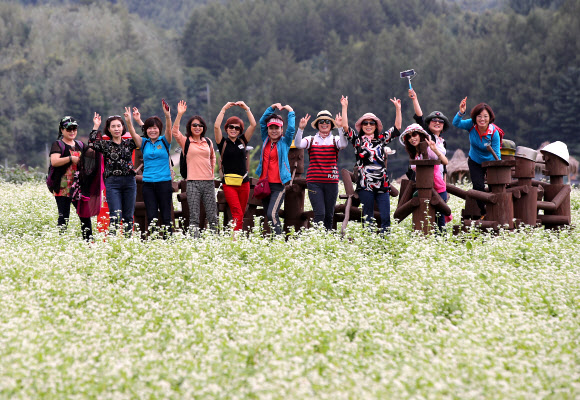 메밀꽃밭에서 찰칵