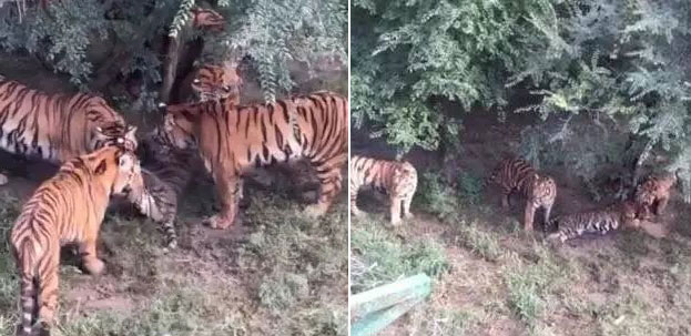 사진=인민일보 홈페이지 캡처