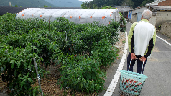 진앙 마을 주민