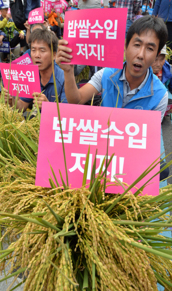 22일 서울 종로구 대학로에서 진행된 ‘쌀값 대폭락 정부 규탄 전국 농민대회’에 참석한 농민들이 ‘밥쌀수입 저지’라고 적힌 피켓을 들고 시위를 벌이고 있다. 손형준 기자 boltagoo@seoul.co.kr