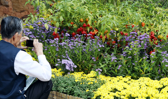 ’할아버지는 작품 활동 중’
