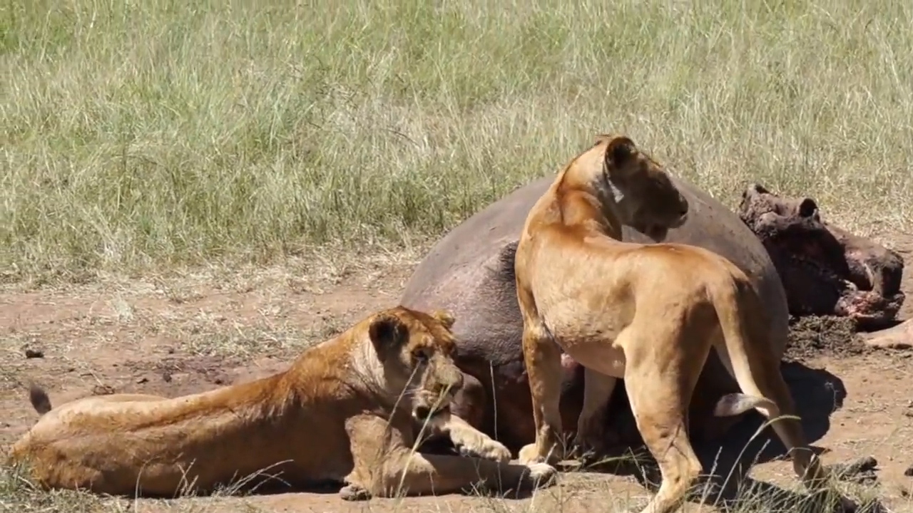 유튜브 영상 캡처