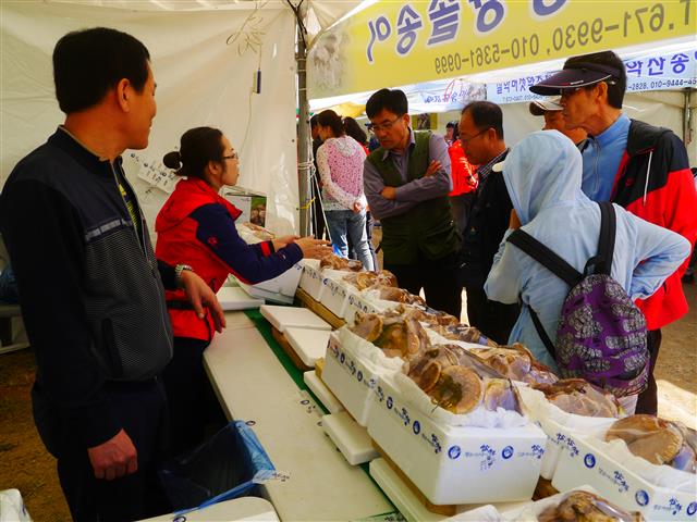 직매장에서 양양송이를 저렴하게 구입하는 관광객들.