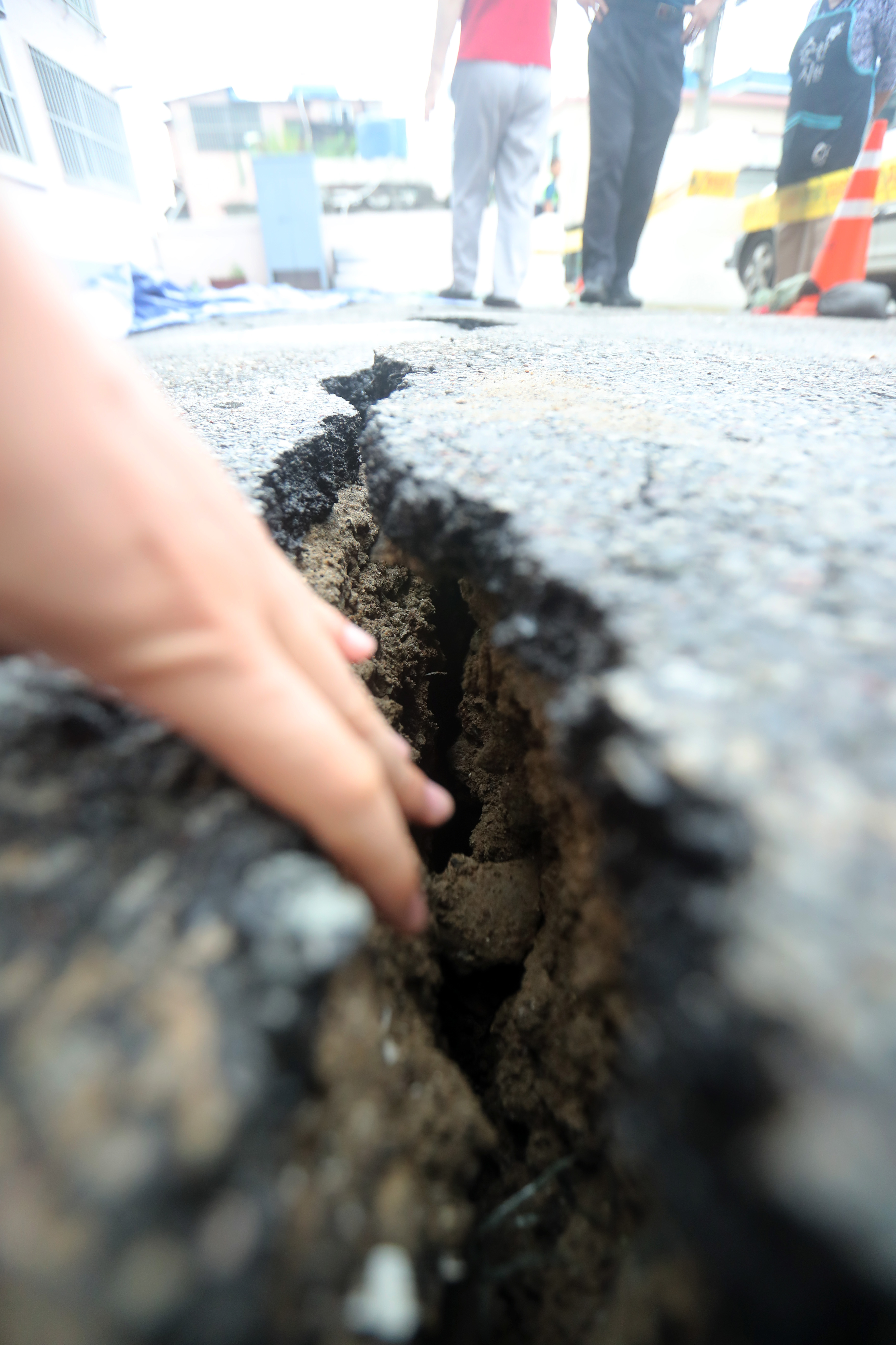 갈라진 틈으로 손이 쑥