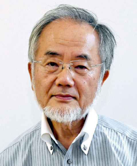 노벨 생리의학상에 일본인 오스미 요시노리